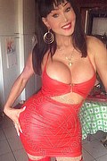 Quarto D'altino Trans Roberta Kelly 331 54 00 919 foto selfie 45