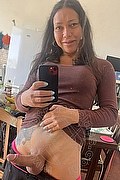 Teramo Trans Stefany Costa 353 43 64 491 foto selfie 23