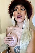 Milano Trans Angel Bunny 347 46 42 611 foto selfie 1