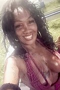Belo Horizonte Trans Luana Vendramini  005531983477439 foto selfie 2