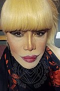 Milano Trans Nicole Vip Venturiny 353 35 38 868 foto selfie 36