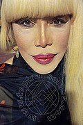Milano Trans Nicole Vip Venturiny 353 35 38 868 foto selfie 12