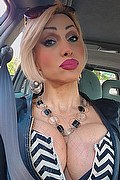 Monza Trans Regina Audrey Italiana 388 98 31 116 foto selfie 55